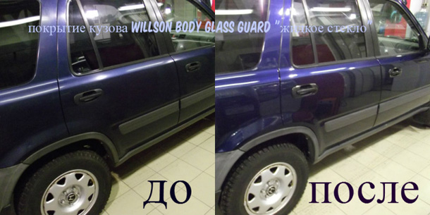 Защита кузова Wilson Body Glass Guard